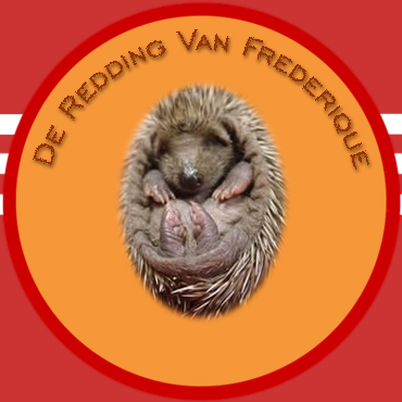 Hebben we het gered? Lees ons verhaal. Klik door naar het voorwoord van 'het Dagboek van Frderique'.